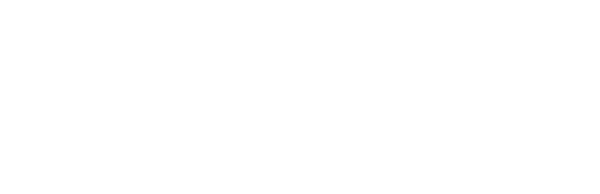 1plusX AG
