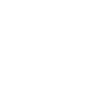 Placid Inc.