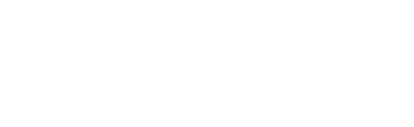 pafin Inc.