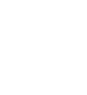 PriceOye Technologies Inc.