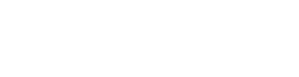 Synapse Technology Corporation