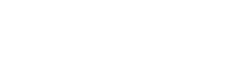 BeeSafe AI, Inc.