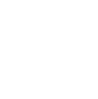 NewNet Inc.