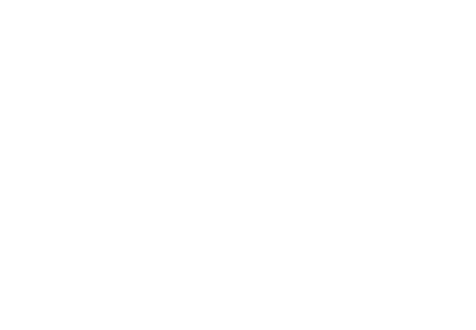 DaL LaLa Network Inc.